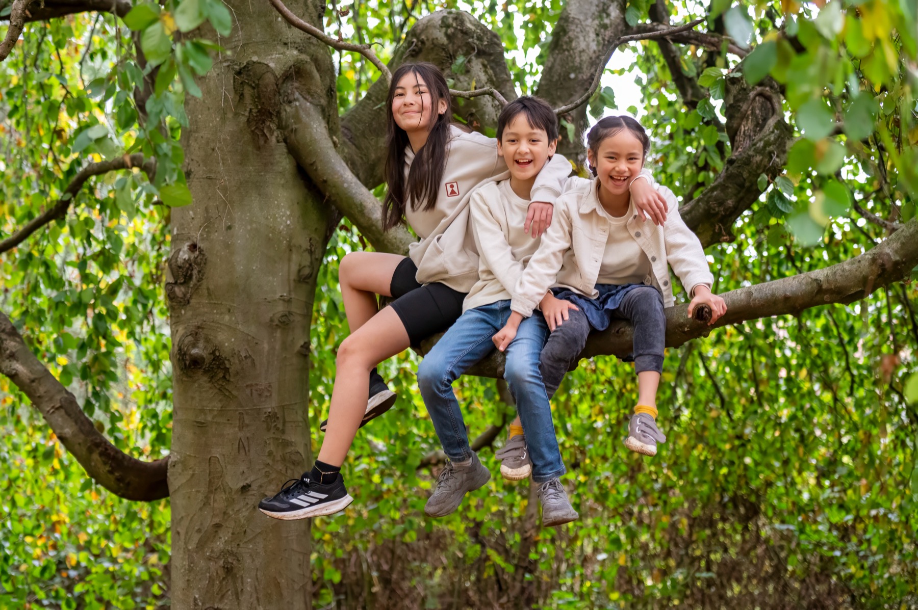 Three children sitting together in a tree